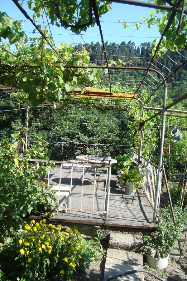 Guesthouse Valeria Borjomi Esterno foto