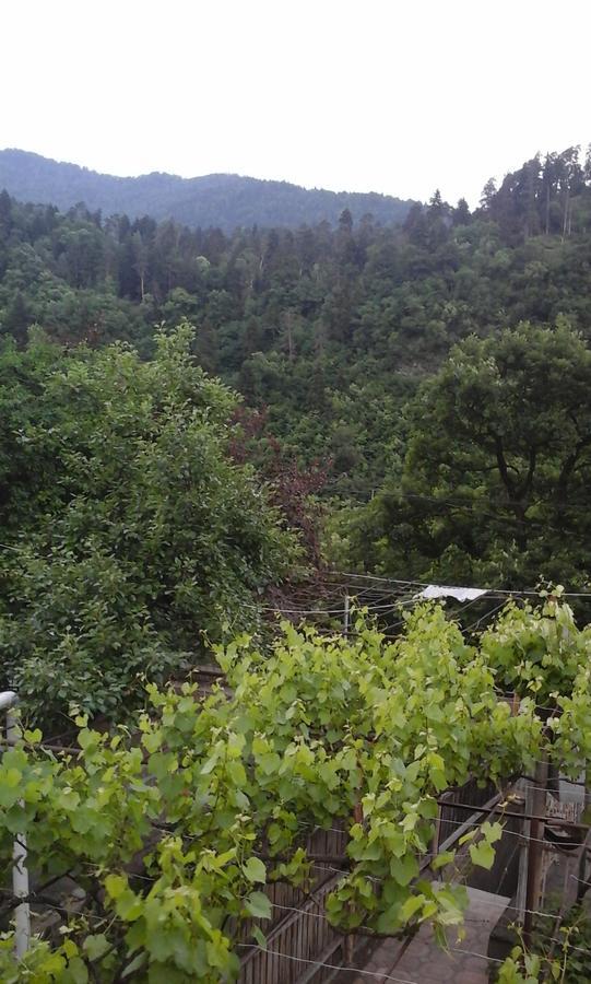 Guesthouse Valeria Borjomi Esterno foto